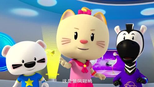 超级小熊布迷花絮集锦保护珍稀鸟类第一步快跟米娅一起认识它们