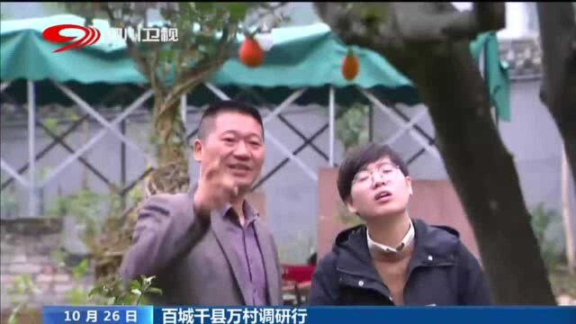 四川新闻 | 雅安芦山:“造血式”重生 再建美丽家园