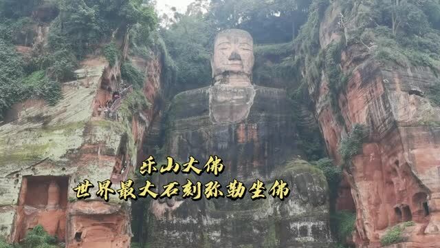 乐山大佛 世界最大石刻弥勒坐佛——大宝小宝乐山第四站