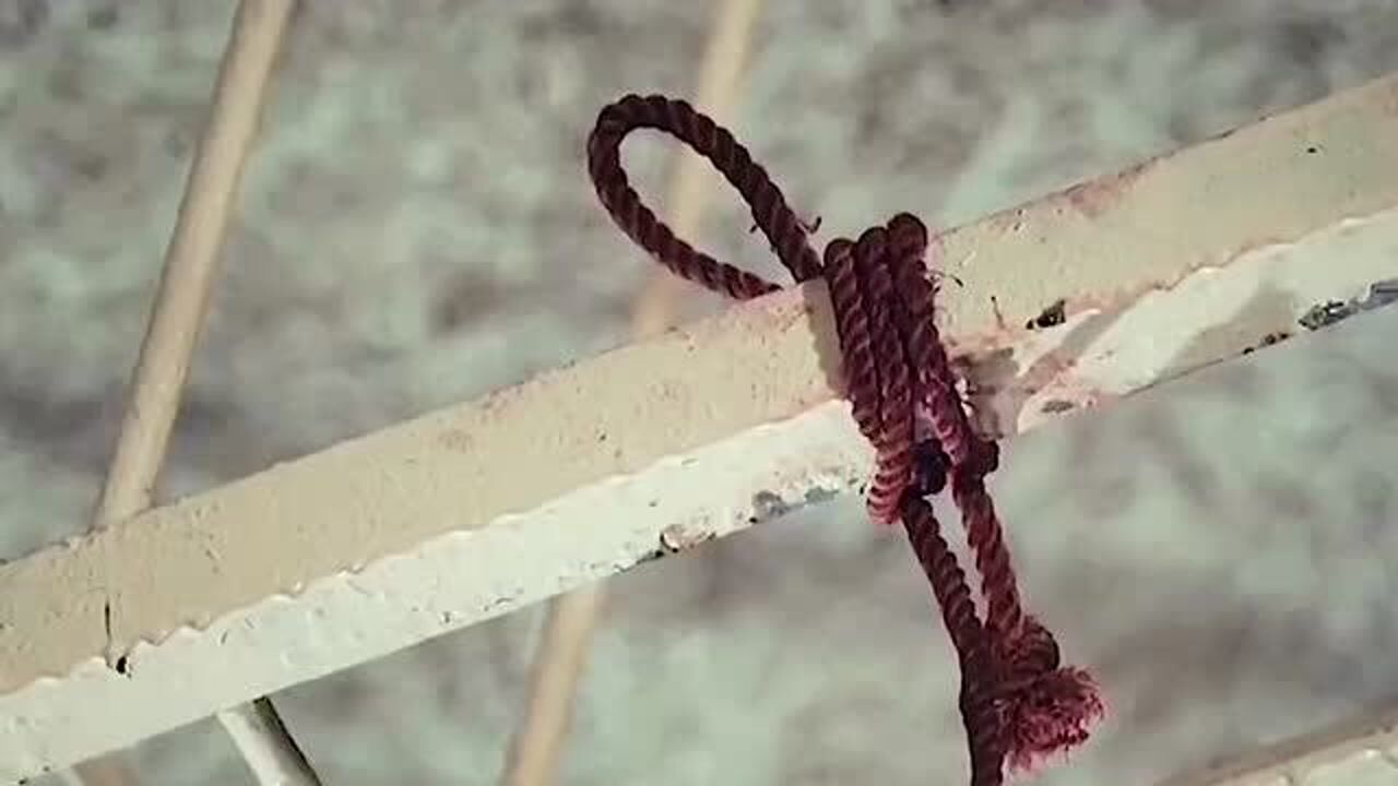 美女被迫上吊自杀，多年后化作厉鬼回来复仇！_高清1080P在线观看平台_腾讯视频