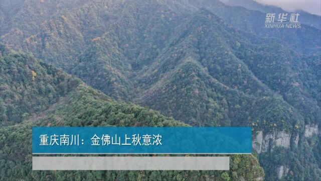 重庆南川:金佛山上秋意浓