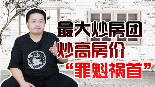 最大炒房团浮出水面,炒高房价的“罪魁祸首”,居然是他们