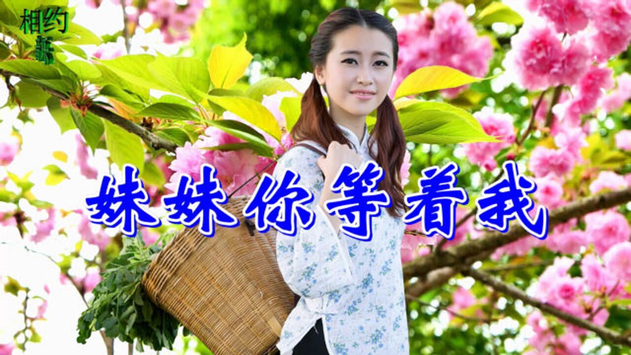 一首情歌妹妹你等着我等哥在外挣钱了娶你做老婆好听醉了