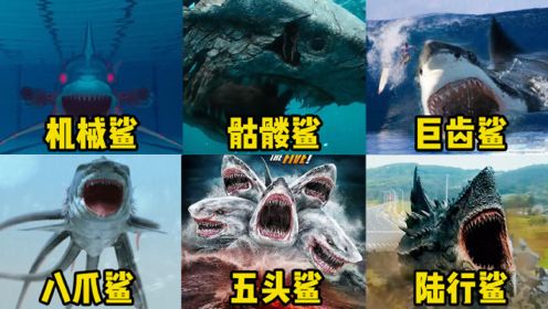 六部影片中的变异鲨鱼，你觉得哪个更厉害，陆地行走的鲨鱼好凶猛