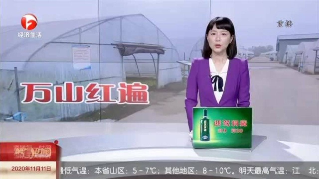 马涛:带动农户就业脱贫 新农人创造新事业(下)