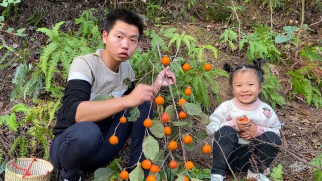 一种长得像西红柿的果子,黄灿灿的好诱人,城里人有钱都买不到