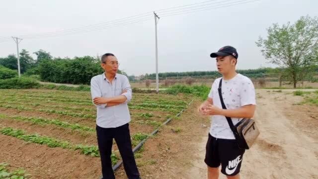 有机农业核心是什么?很多人都人认为错了,听听专家怎么说