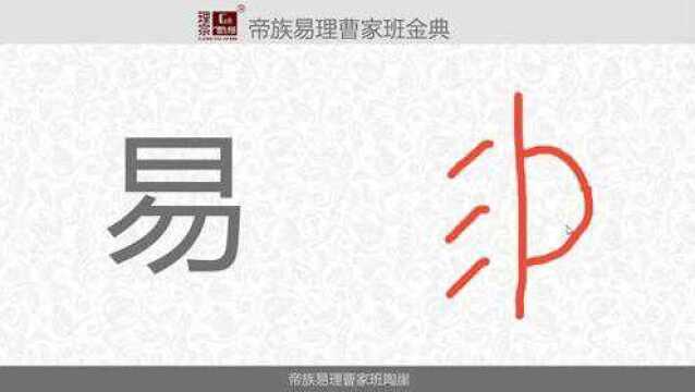 新手如何学易经第1集从“易”字说起