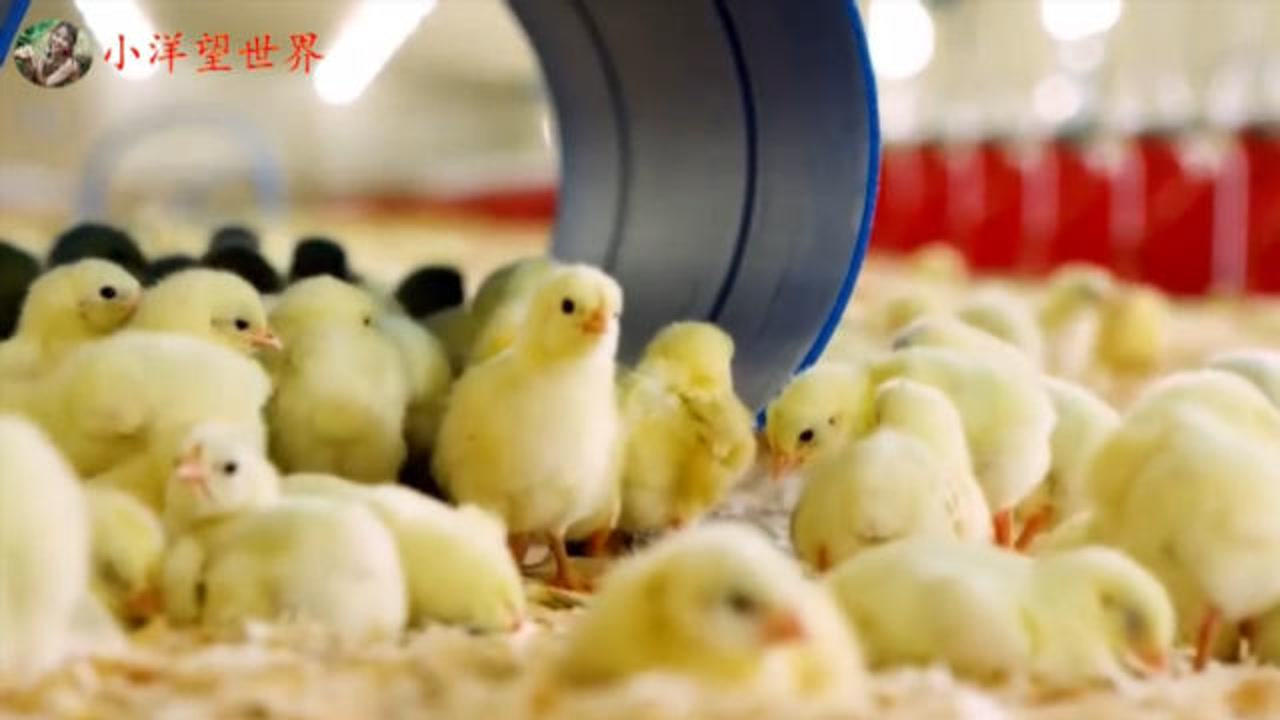 Thumbplayer Poster Plugin Image