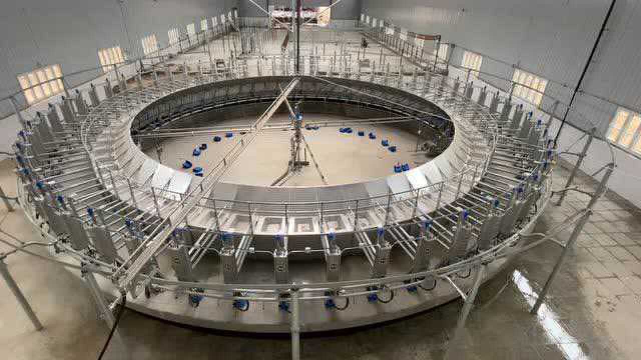 dairymaster转盘式挤奶机