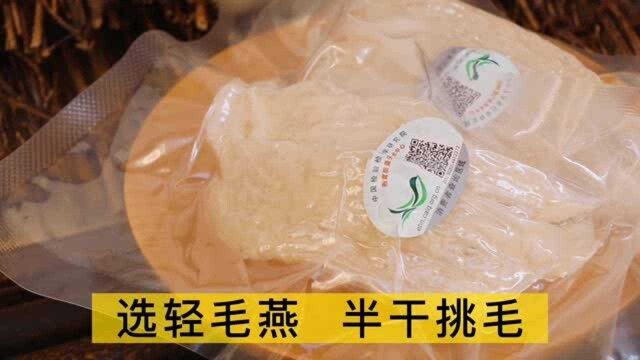 传统滋补品有哪些?燕窝属于高端滋补品,燕窝和燕条哪种更好呢?