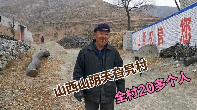 山西山阴小山村有20多个人,村里特别适合养殖,平均每人100只羊