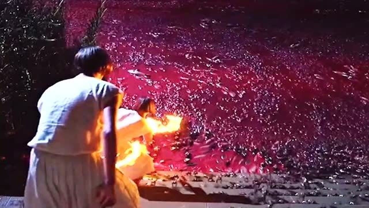 圣经中的蛙灾如果真的降临会怎么样