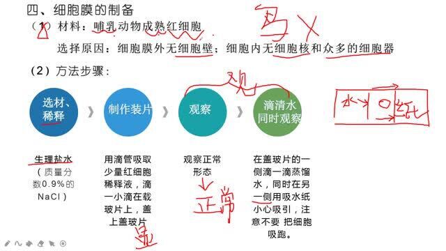 人教版高一生物必修1同步课:细胞膜,系统的边界