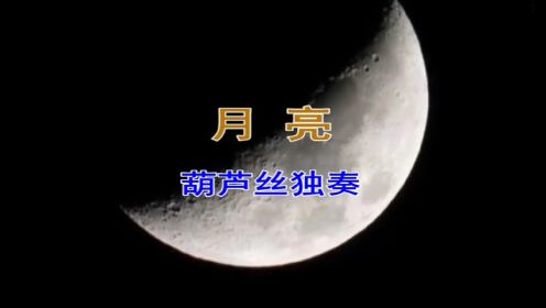 月亮(葫芦丝独奏)