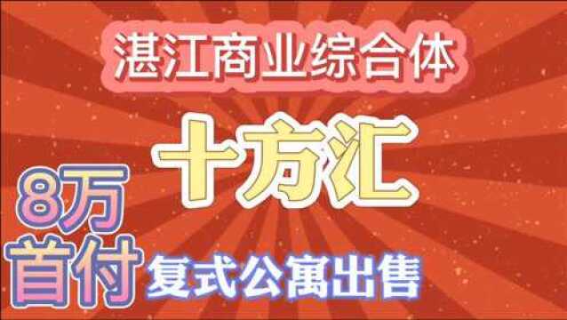 湛江地标商业综合体十方汇复式商务公园出售首付只需要8万做业主