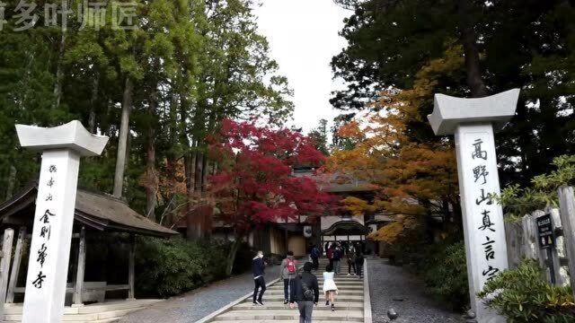 日本云旅游高野山红叶绝景