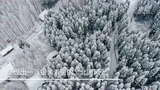 四川绵竹:冰雪美如画 似“北国风光”