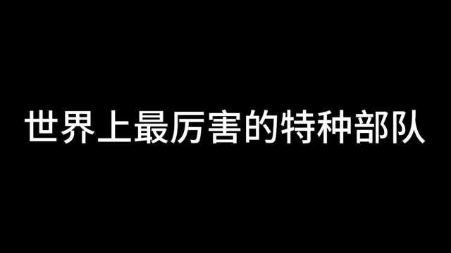 世界上最厉害的特种部队第四名:海豹突击队!