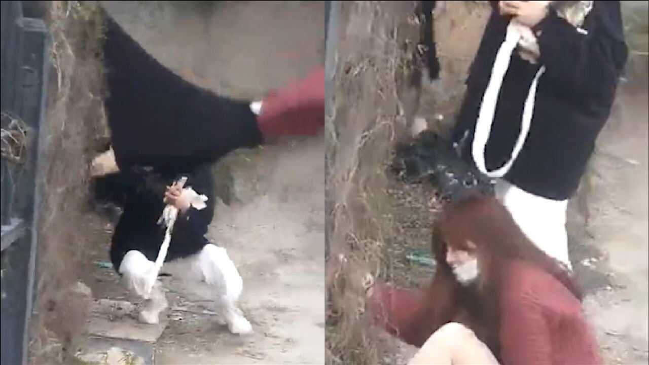 厦门一女生翻墙出校，裙子被钩瞬间“走光”，重重摔在地上痛苦捂住腹部_高清