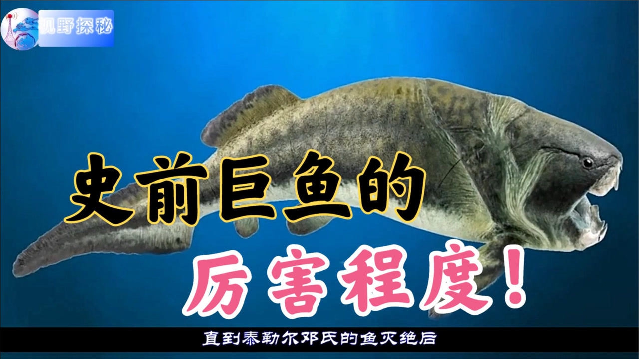 史前巨魚有多可怕?咬合力排海洋生物之首,鯊魚見其都要趕緊跑