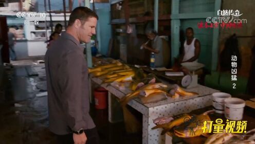 专家来到圭亚那，市场上的大鱼让他兴奋：它们好吃吗？