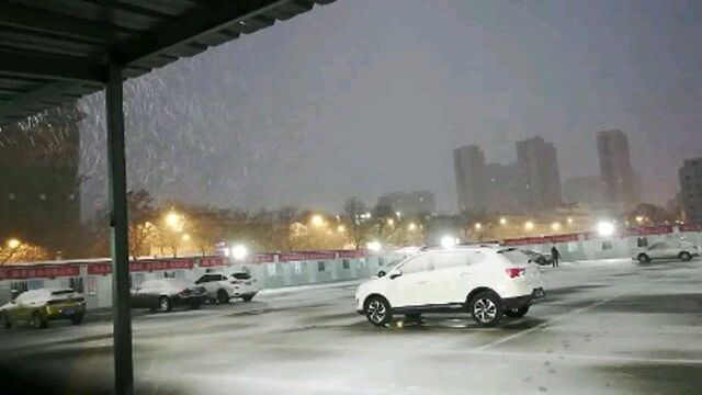 落雪声声碎,朔风冽冽寒;凌空劲劲舞,涤尽尘世烦.