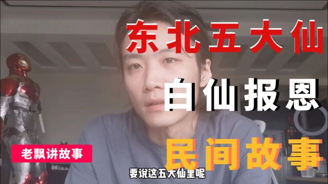 民间传说:你所不知道的,东北五大仙之“白仙报恩”!