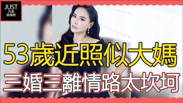 53岁田丽近照似大妈,曾是台湾第一美人,三婚三离后仍看不清男人真面