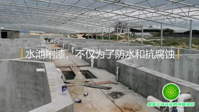 水池漆是什么涂料?