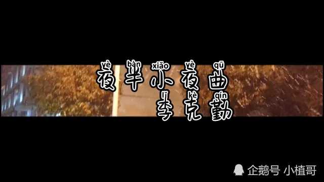 经典老歌《夜半小夜曲》李克勤