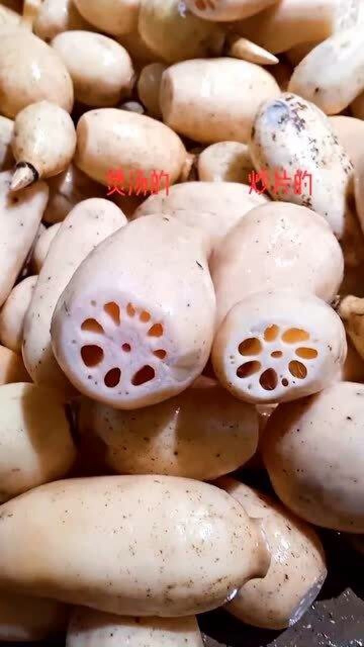 莲藕还分粉藕和脆藕牢记它们的区别和用途买错贼难吃