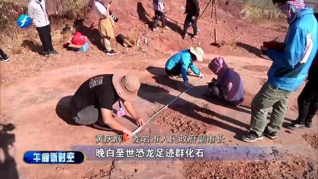 震惊!福建龙岩市首次发现恐龙足迹化石