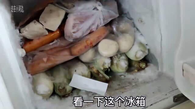 东北农村大雪封门吃喝不愁?看大姐储存啥食物?这量都可以开个小超市了