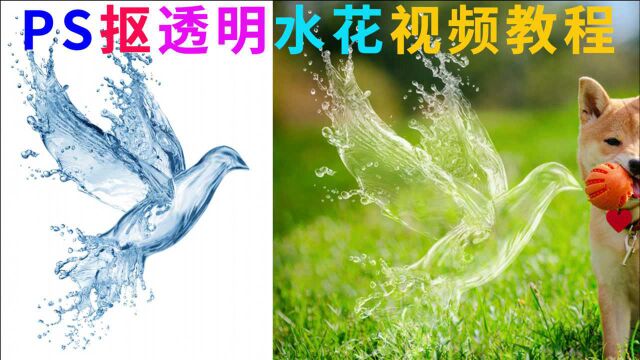 万物皆可抠之PS抠透明水花视频教程