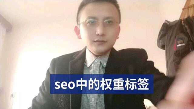 seo中的权重标签