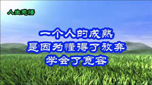 一个人的成熟 是因为懂得了放弃,学会了宽容