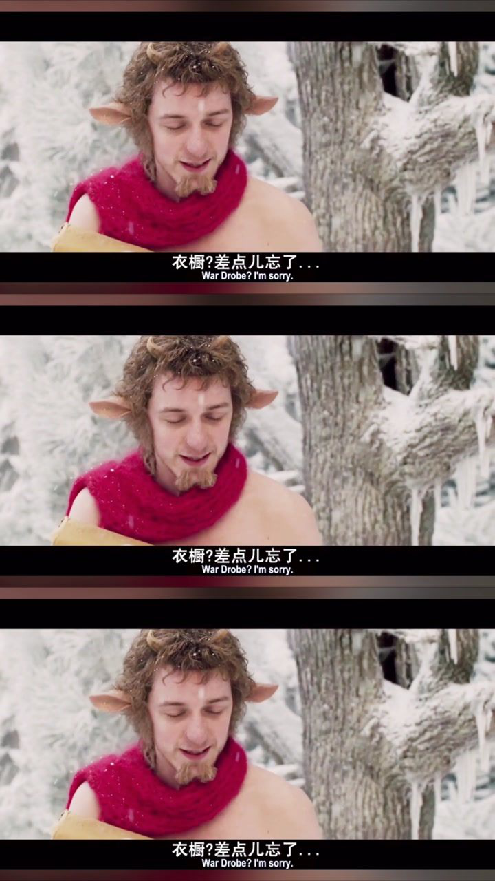 纳尼亚传奇,魔法厨