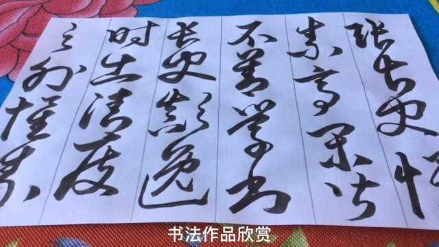 草书书法作品欣赏,请大家一起交流学习