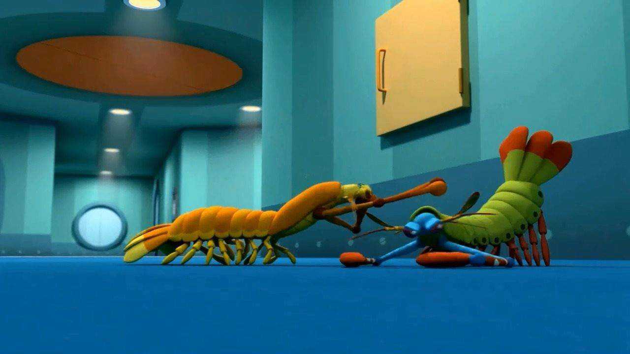 海底小纵队螳螂虾模式图片