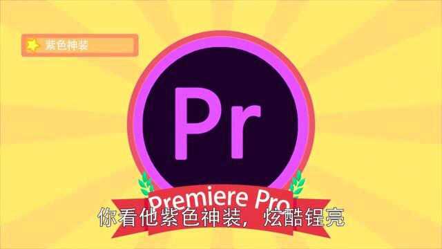 PR2020视频剪辑教程简介(方言版)