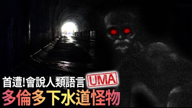 【UMA档案】会说话的神秘UMA?!蛰伏在地下黑暗世界的神秘生物.