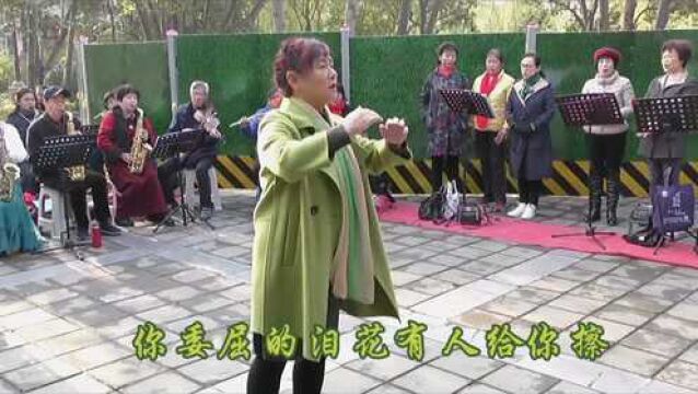 感恩父母,歌唱亲情,歌曲联唱《母亲》《儿行千里》《父亲》