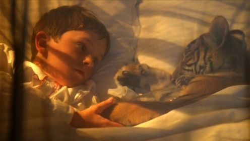 男孩捡到一虎崽，睡觉都要搂着，多年后再次相遇，场景让人泪目！