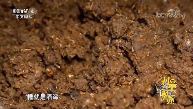 酒糟腌制食材,延长食物保质期,酒香馥郁又肥而不腻