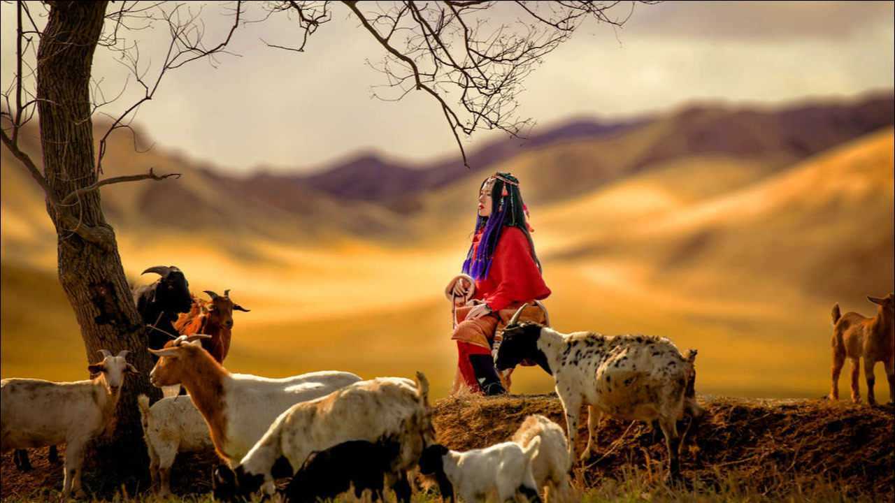 王琪可可托海的牧羊人电视剧国家孩子版