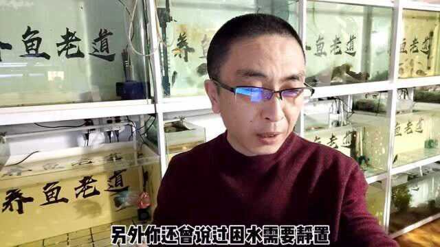 给鱼缸困水,到底用不用打氧,或者添加一个小过滤?