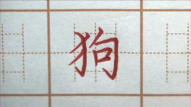 二年级练字狗硬笔书法练字正楷字字帖写字楷书