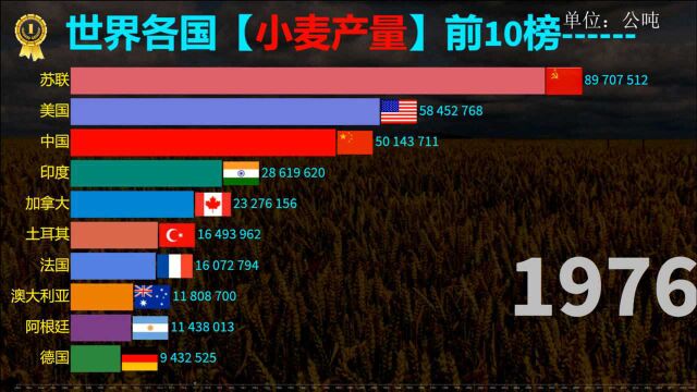 19612019年,世界各国小麦产量排行榜,曾经的苏联一直遥遥领先