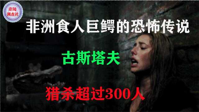 非洲巨鳄古斯塔夫的可怕传说!300余人命丧其口,至今仍然逍遥法外